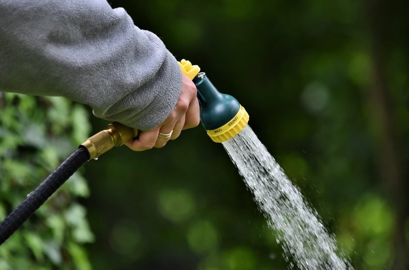 Potion watering cans